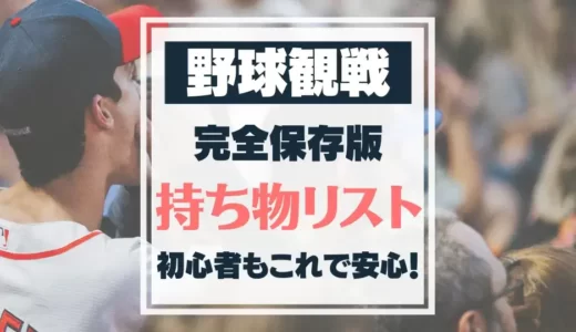 【保存版】野球観戦の持ち物チェックリスト・便利グッズ紹介